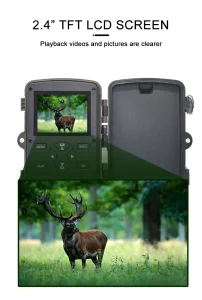 deer camera