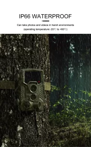 wildlife cameras
