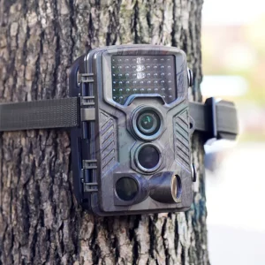 wildlife trail cameras