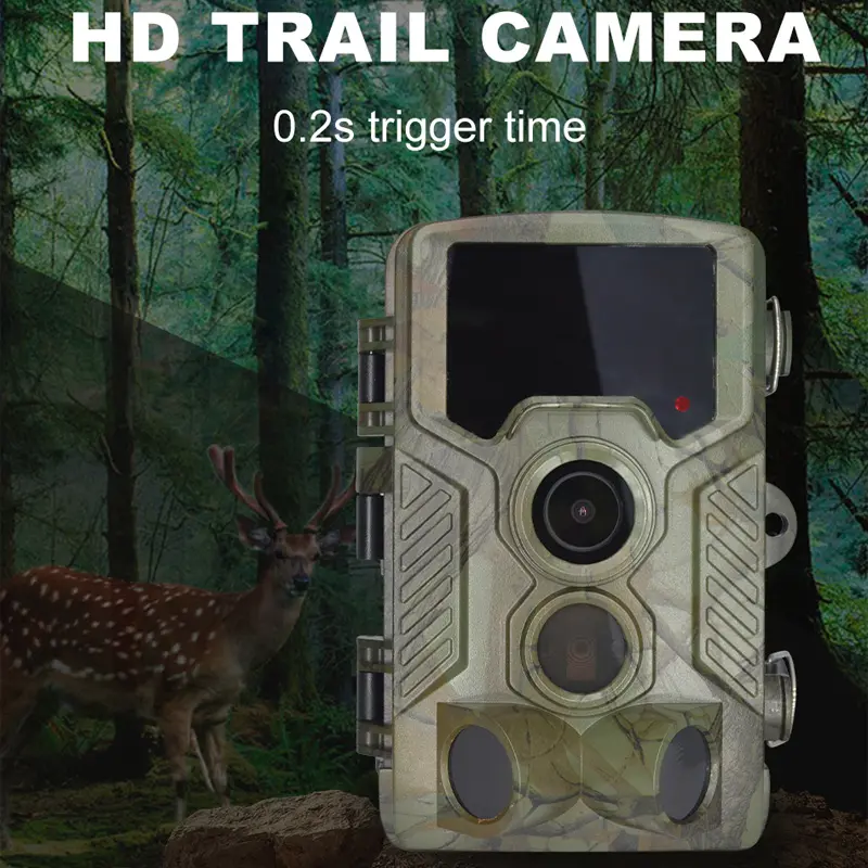 wildlife trail cameras