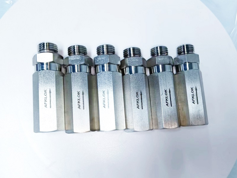 Spring-Loaded Check Valves